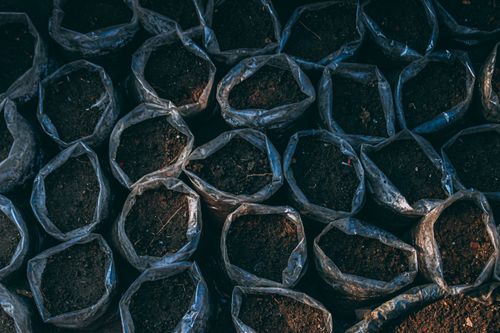 Free Top view of soil-filled bags arranged for planting in Chilmari, Bangladesh. Stock Photo