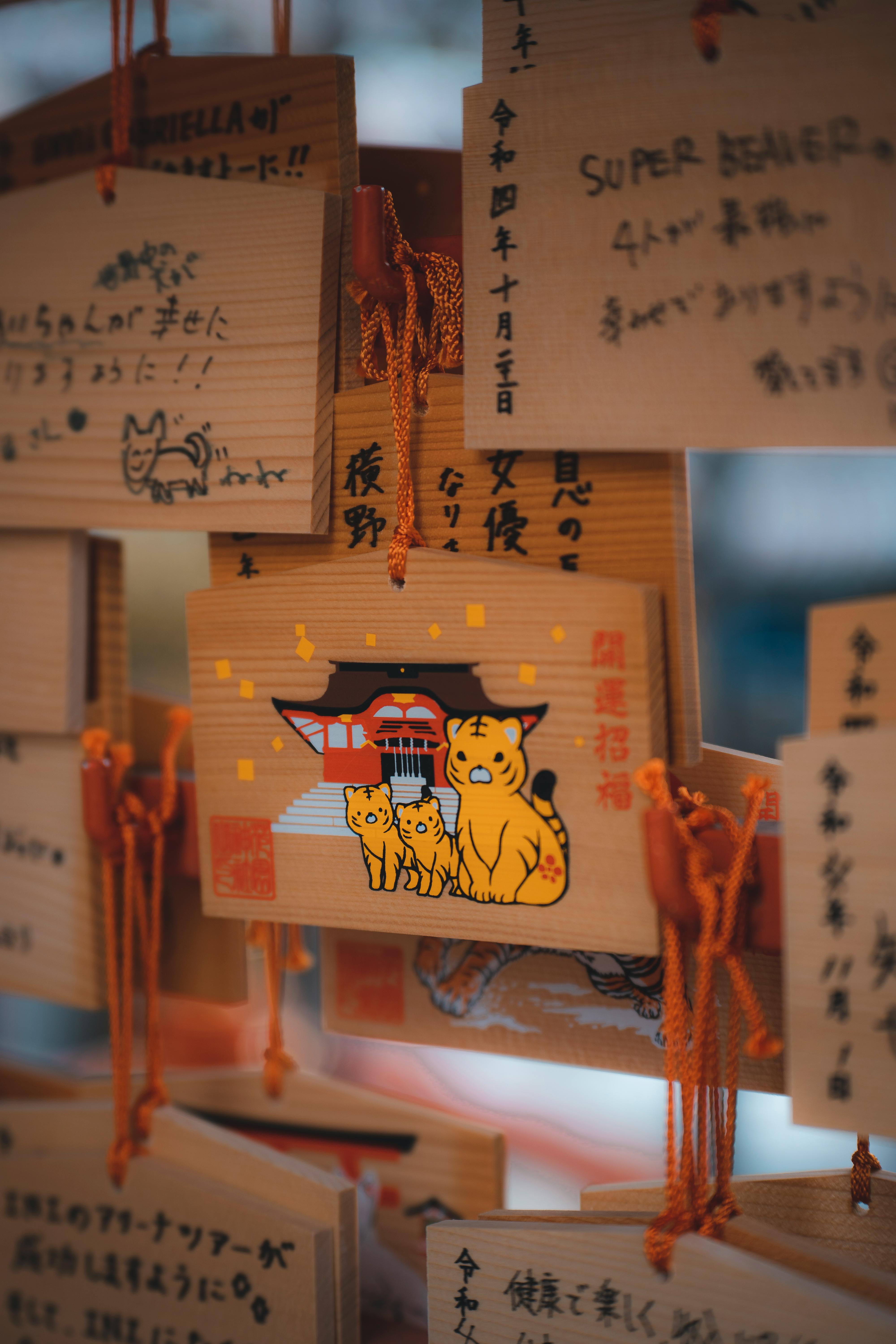 Ema plaques hanging in a shrine featuring a cat illustration, capturing a cultural tradition.
