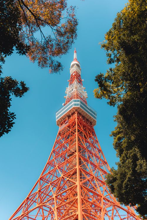 シティ, ランドマーク, ローアングルショット, 地元のランドマーク, 垂直ショット, 日本, 晴天, 木, 東京, 東京タワー, 都市 ...