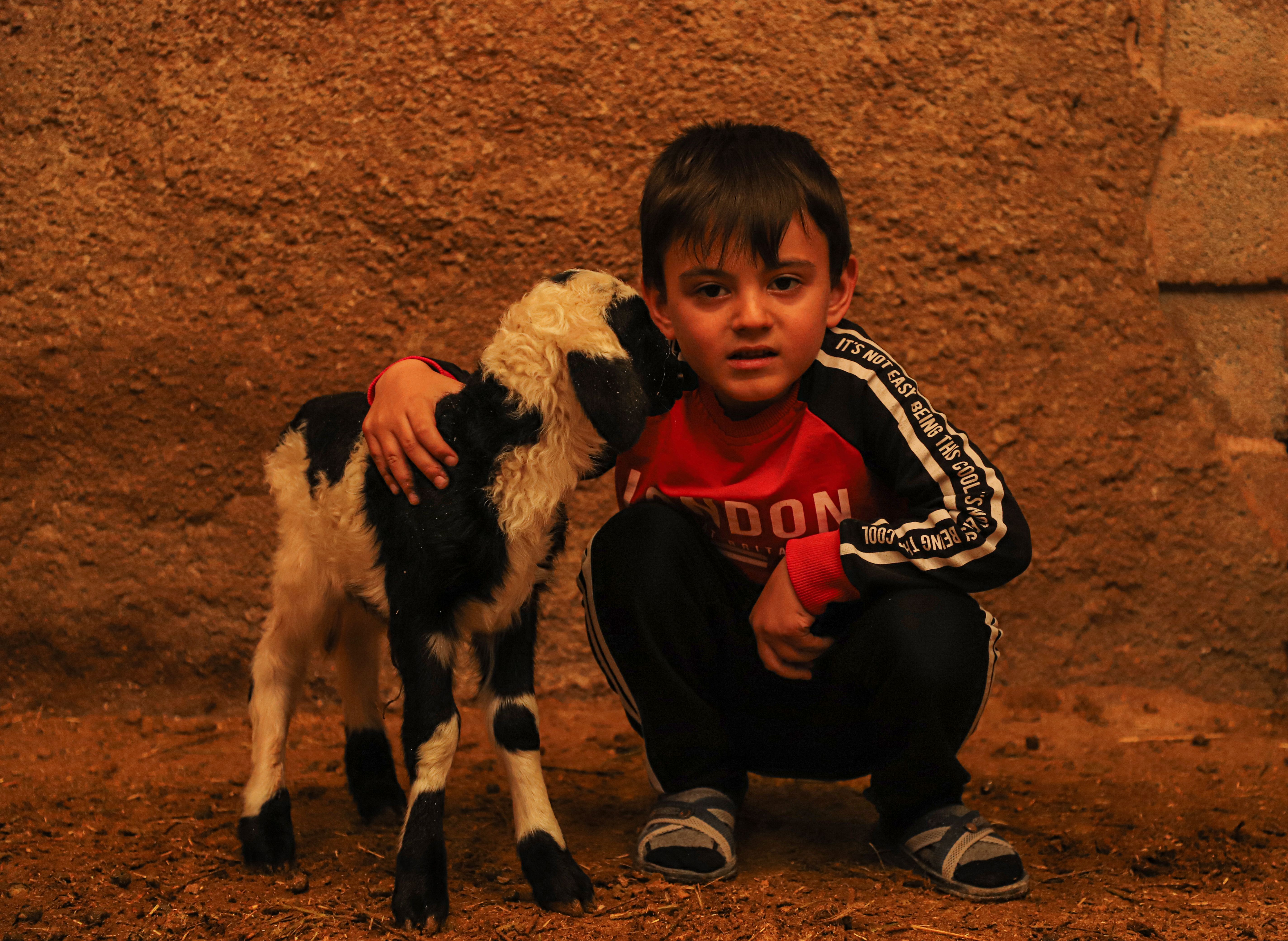 Little Boy Embracing Lamb · Free Stock Photo