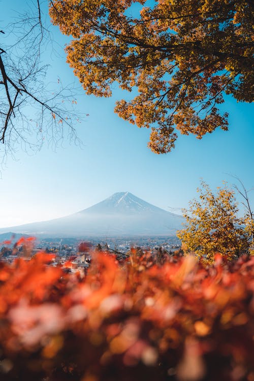 Mount Fuji in Autumn 