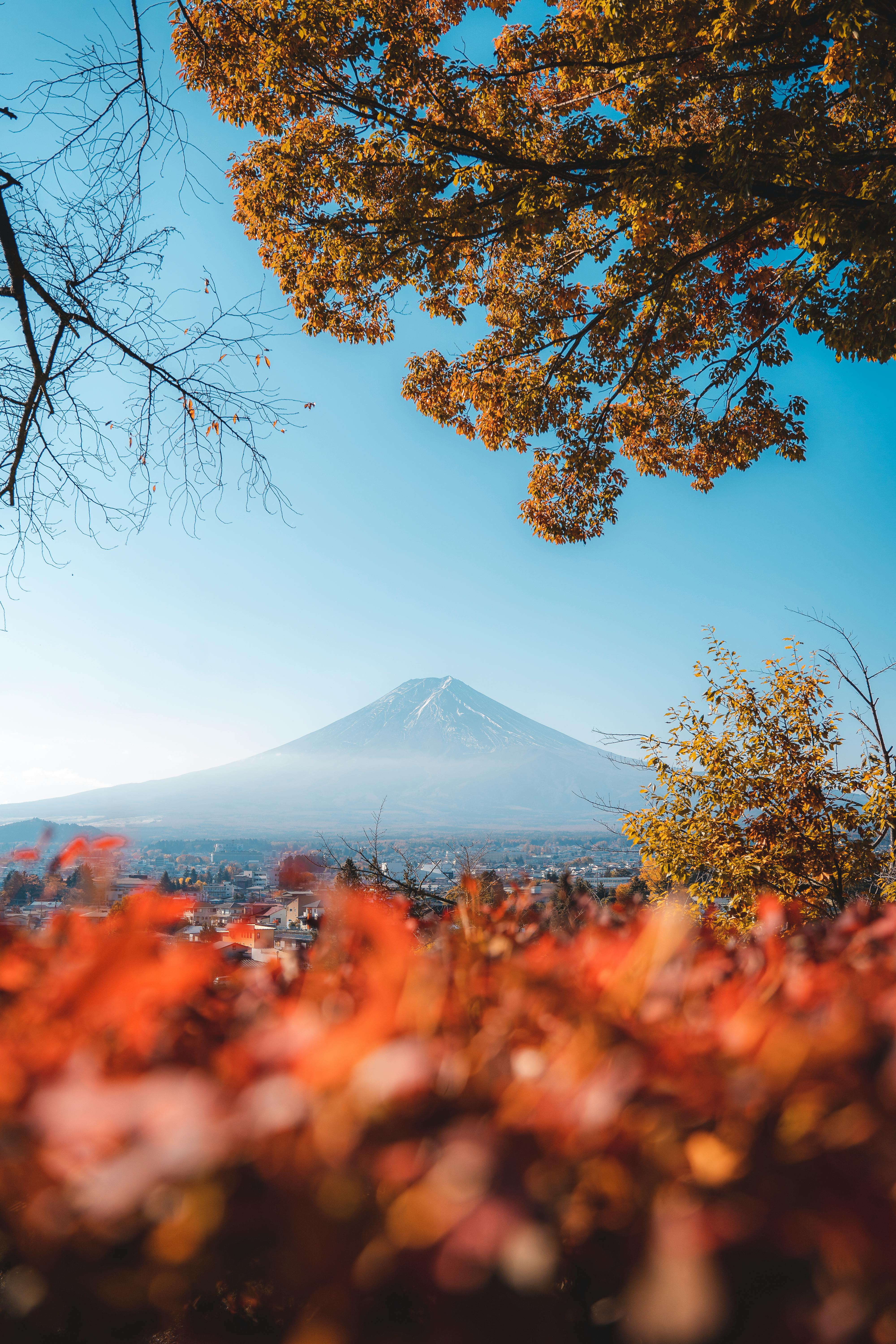 Download 8K iPhone Mount Fuji Wallpaper