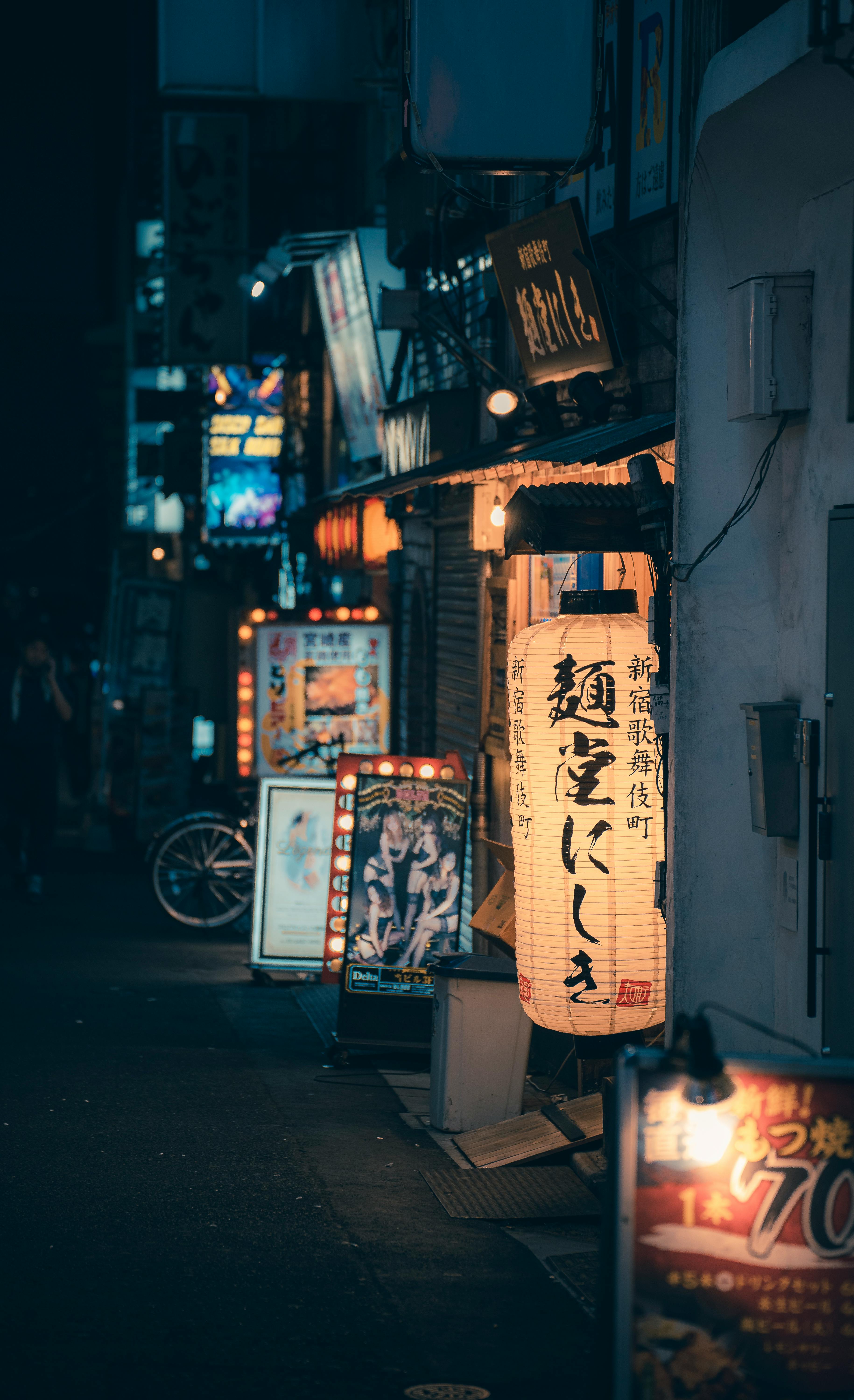 A vibrant street view in Japan featuring illuminated lanterns and storefront signs at night.