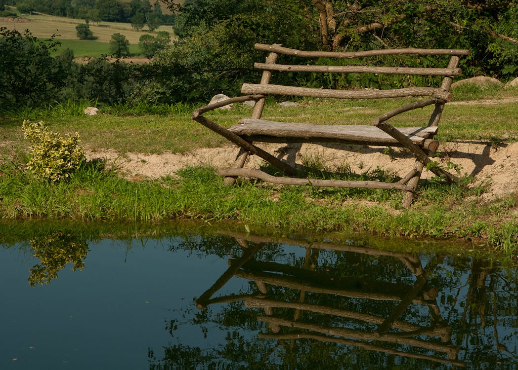 免費 在水體附近的綠色草地上的棕色木製長椅 圖庫相片