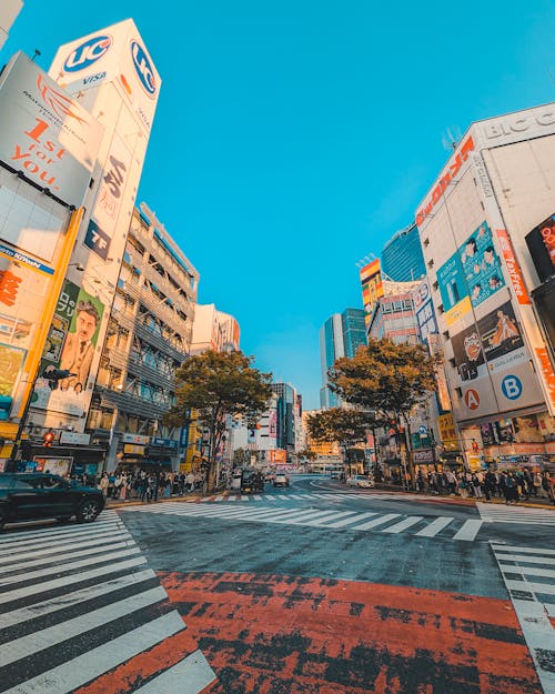 Road Intersection in a Japanese City 
