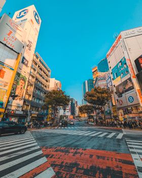 Vibrant view of Shibuya Crossing in Tokyo, showcasing bustling city life under a clear sky.
