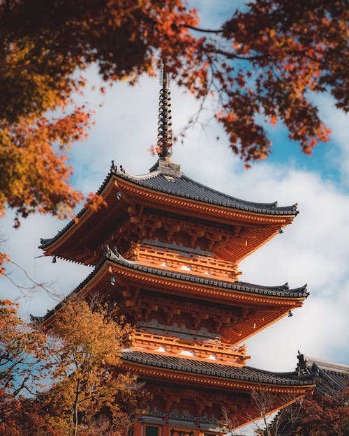 Low Angle View of a Japanese Temple and a Tree in Autumn Foliage 