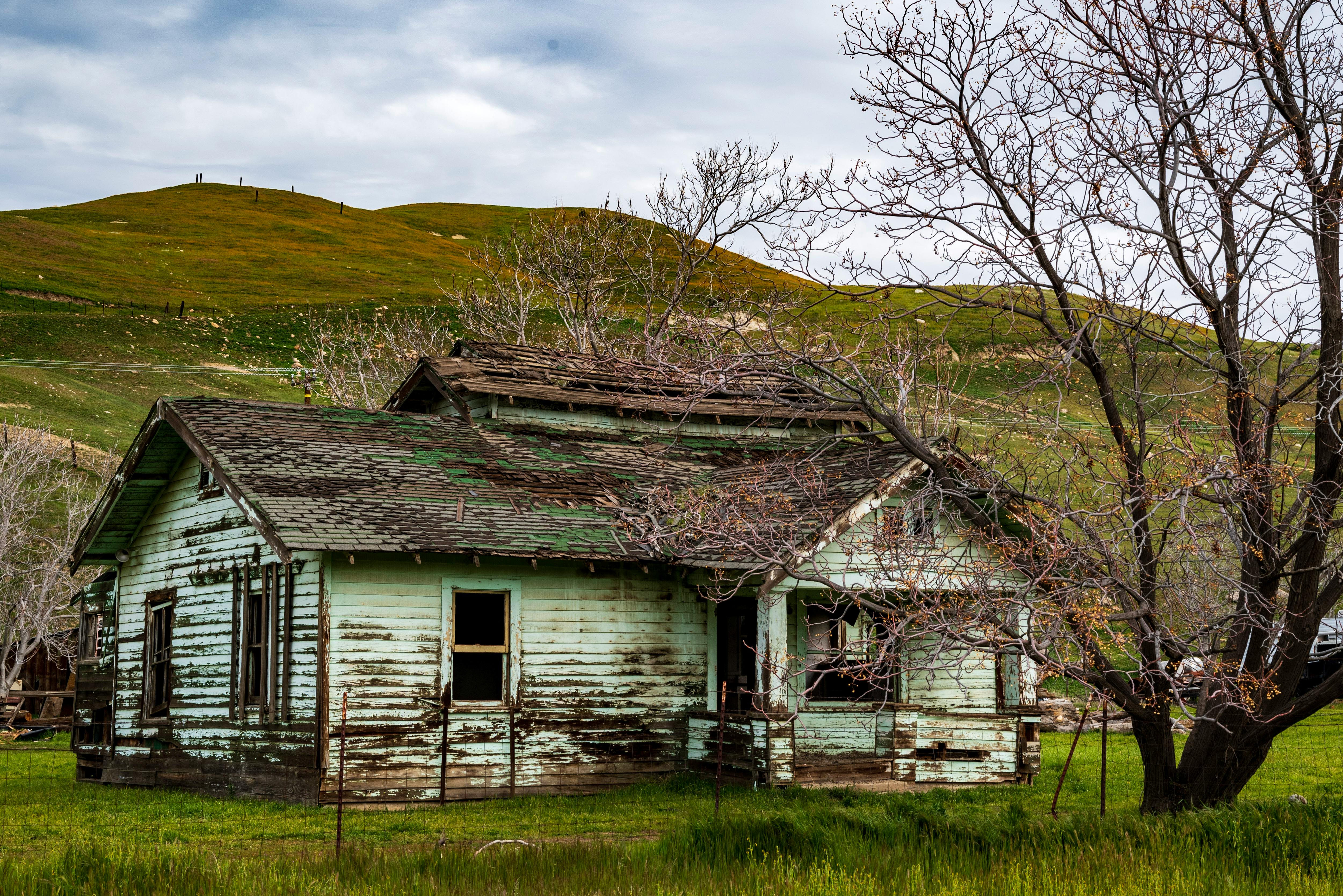 Carter-led bill passes House to improve health care access in rural America — Photo by Joseph Russo on Pexels