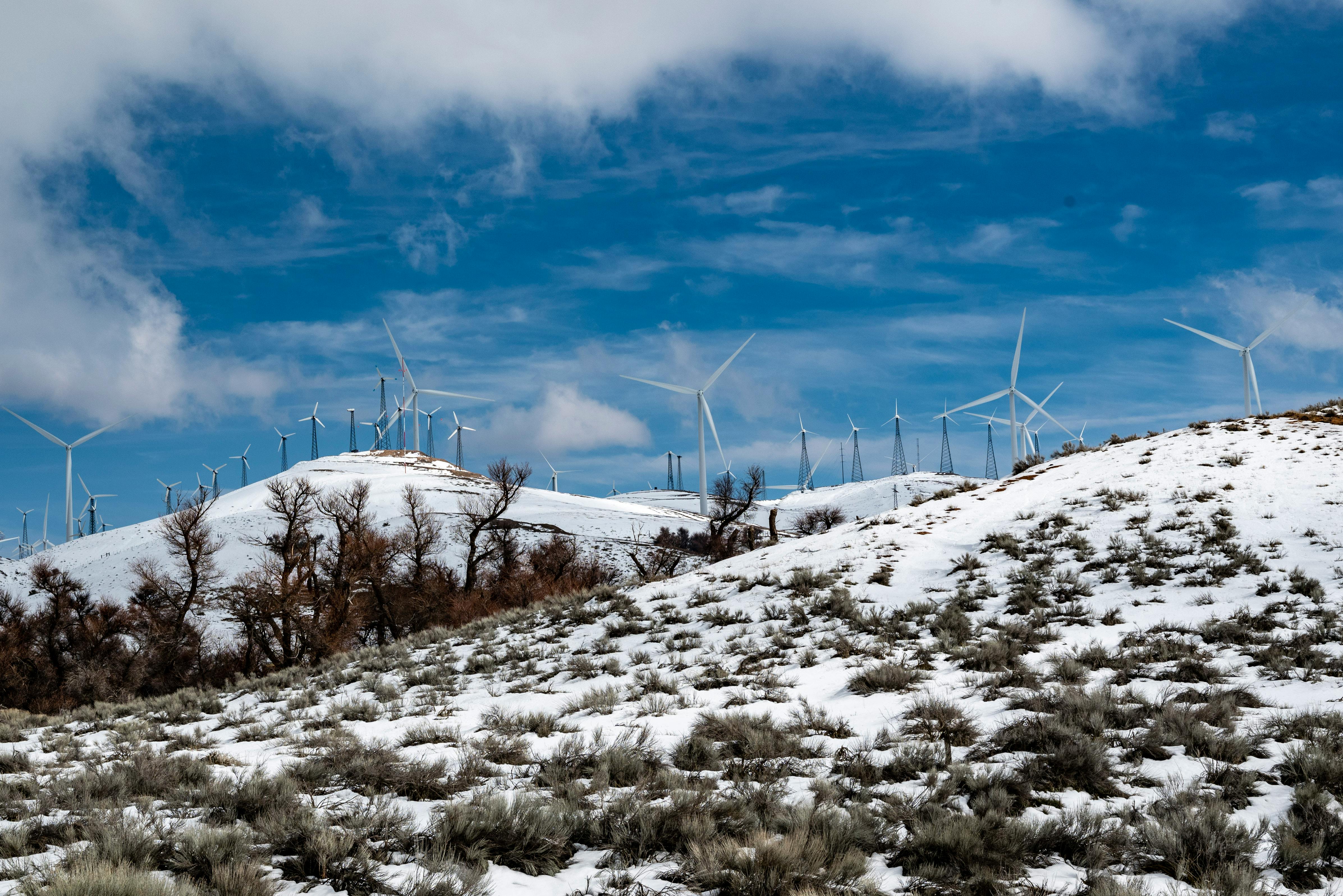 Hard Truth Hits Slopes: Ski Resorts Battle Warm Winters