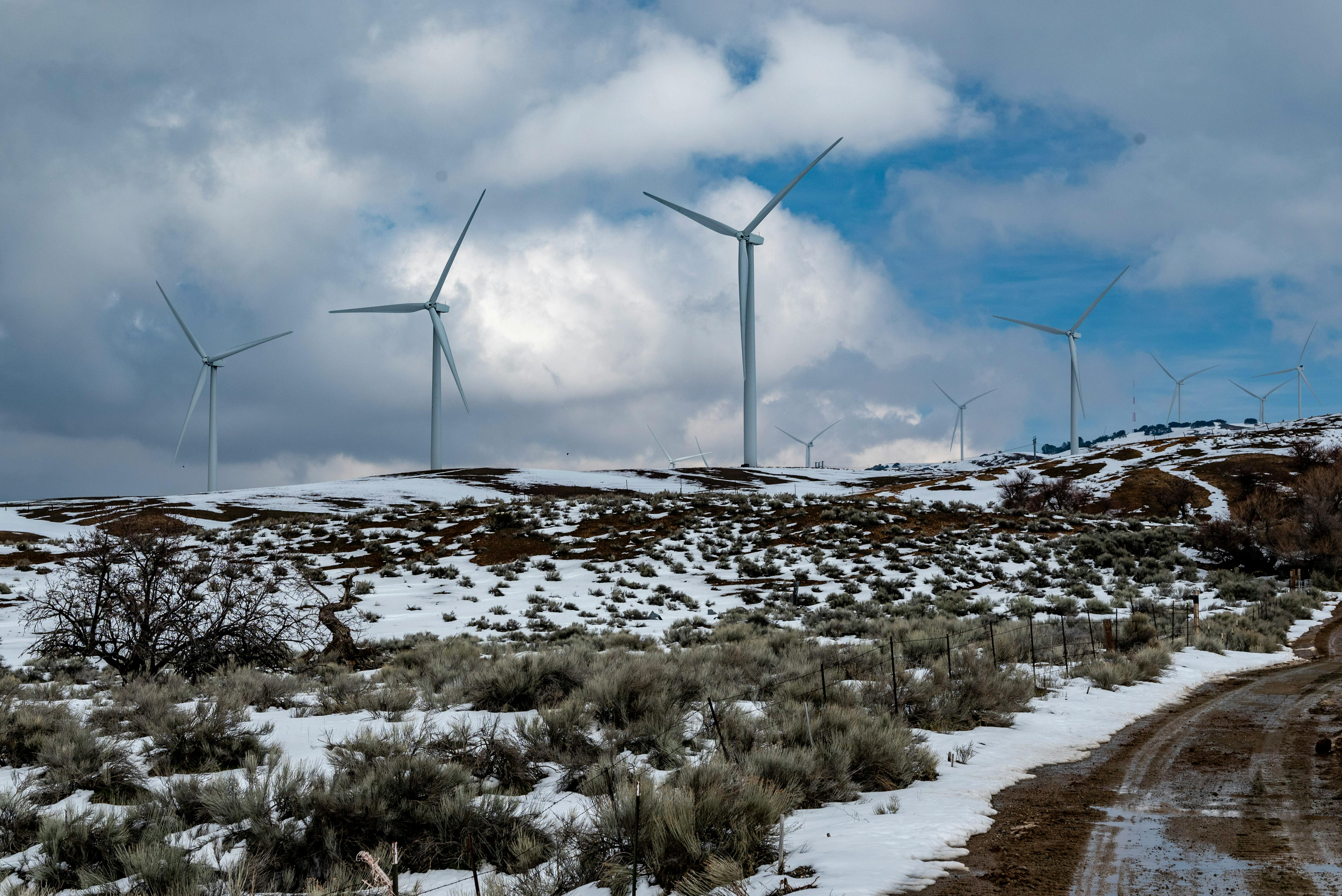 Majorities of Americans Prioritize Renewable Energy, Back Steps to Address Climate Change — Photo by Joseph Russo on Pexels