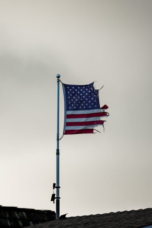 Foto d'estoc gratuïta de bandera, EUA, nacional