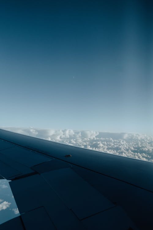 Kostenloses Stock Foto zu blauer himmel, fliegen, flügel