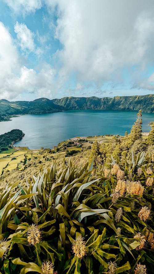 Lake Among Hills on Sunny Day