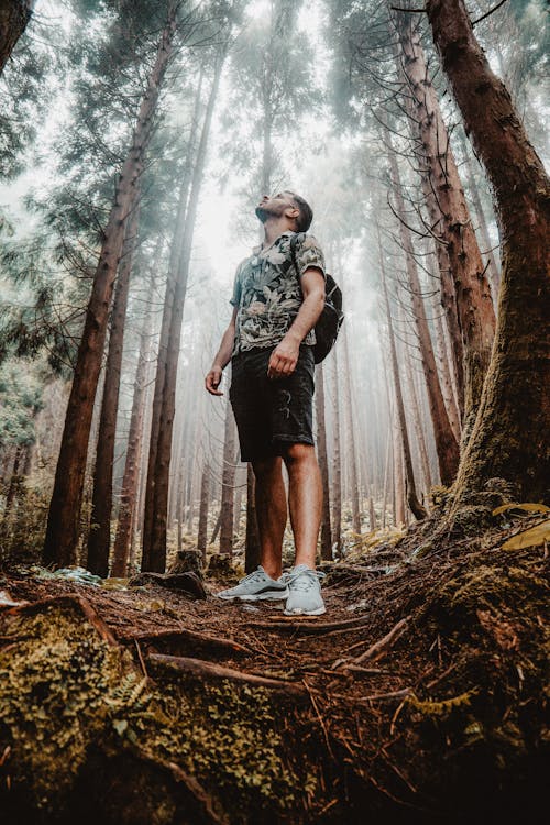 Man Standing in Forest Observing Trees