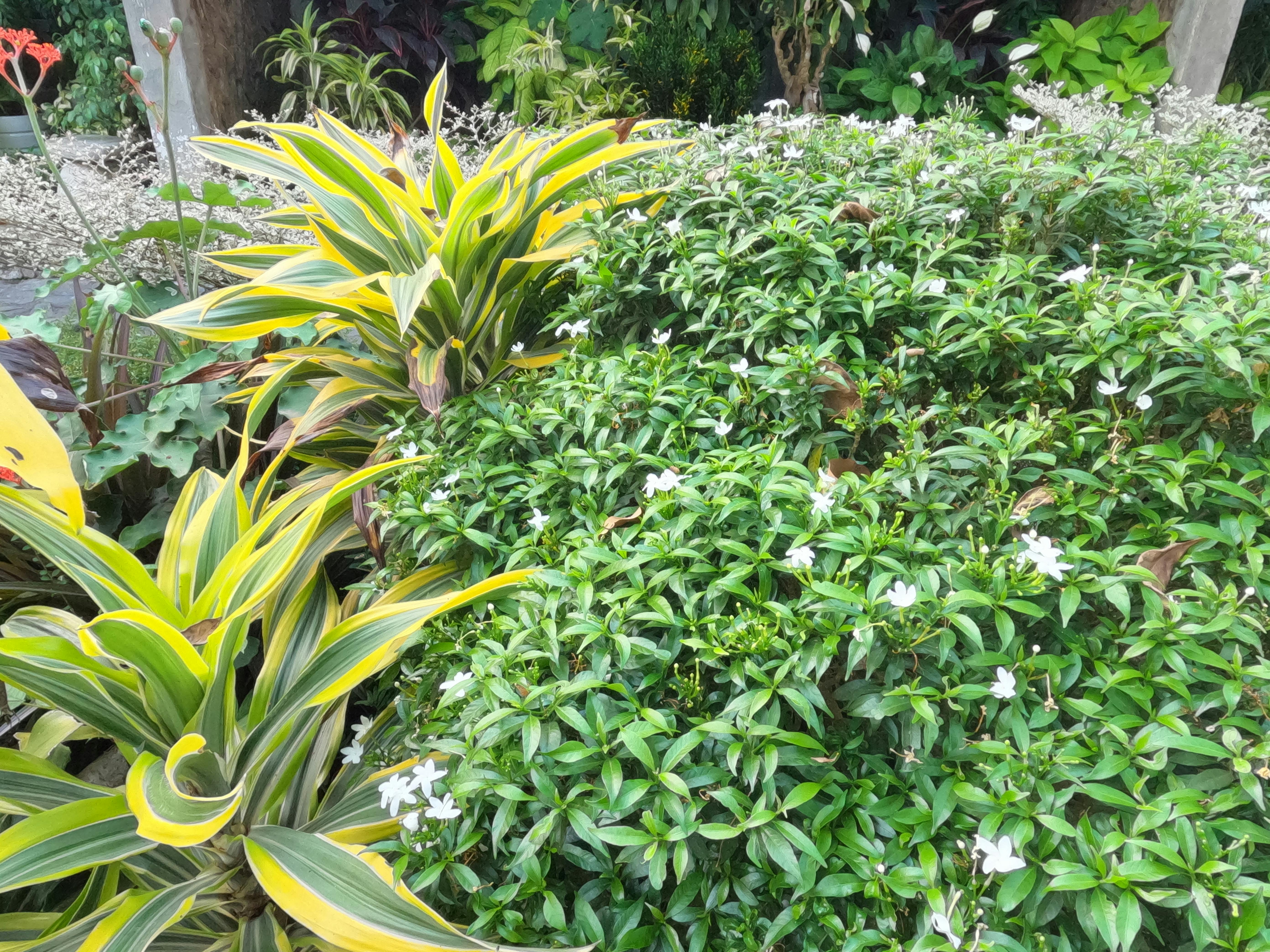 محيط مضطرب ومشتعل