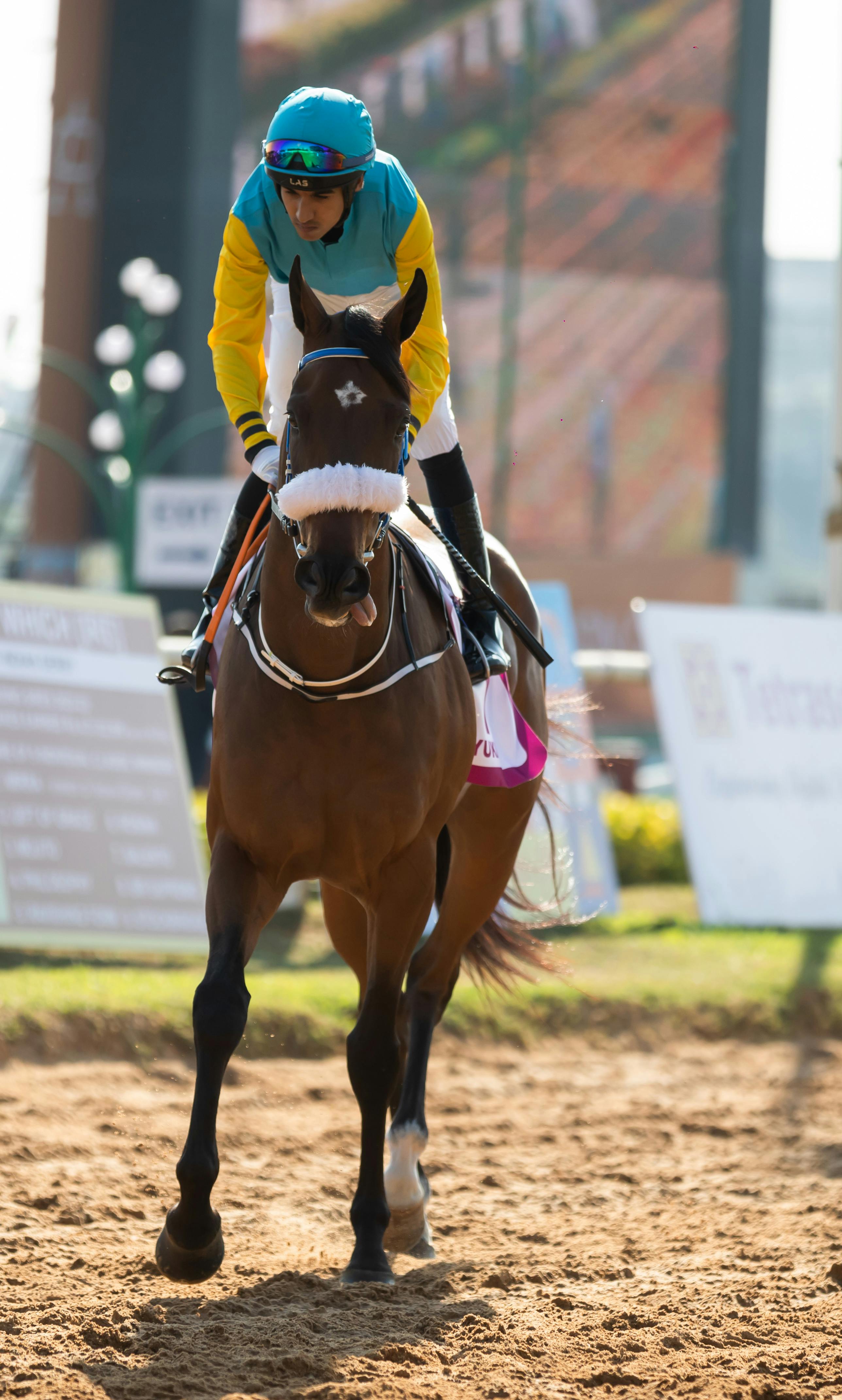 horse race photography by anil sharma