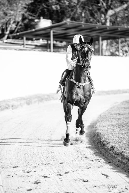 Black and White Photo of a Jockey on a Horse 