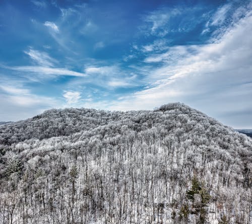 Foto d'estoc gratuïta de bosc, hivern, muntanyes