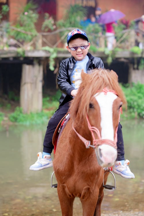 Δωρεάν στοκ φωτογραφιών με αγόρι, άλογο, γυαλιά ηλίου
