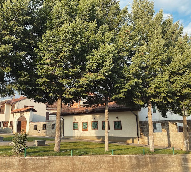 Lawn And Trees In Front Of A Property