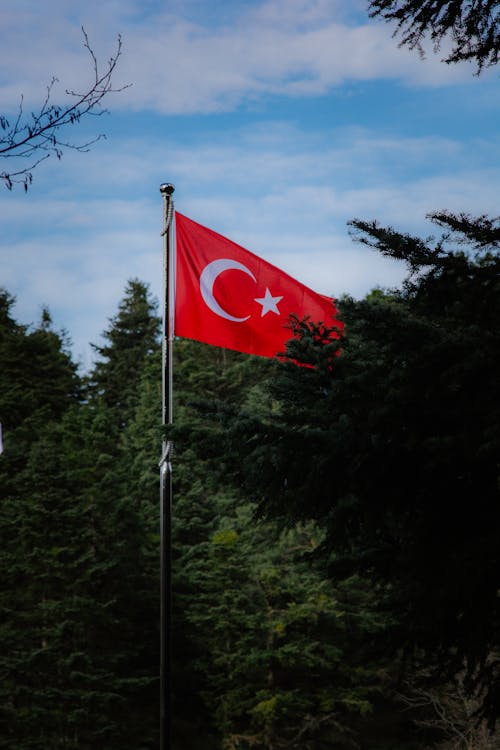 A Turkish Flag on a Flagpole between Green Trees