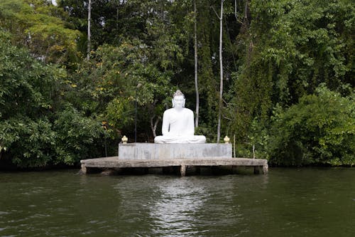 Free stock photo of buddha, hd, mohan