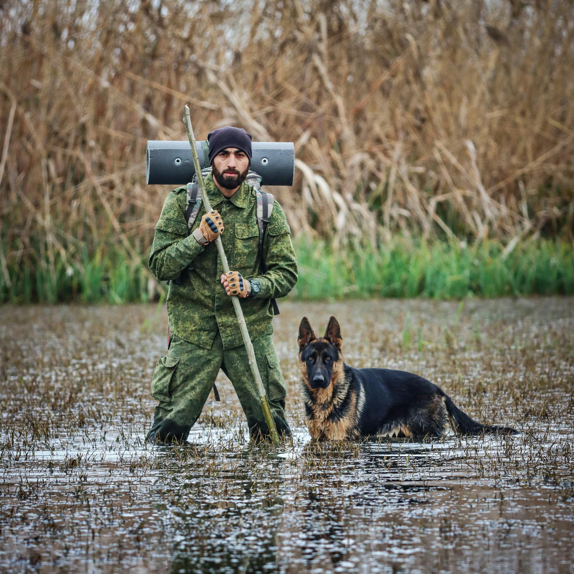 Man Wearing Camouflage with German Shepherd in Swamp