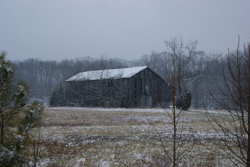 An Old Wooden Barn on a Field in Snow 