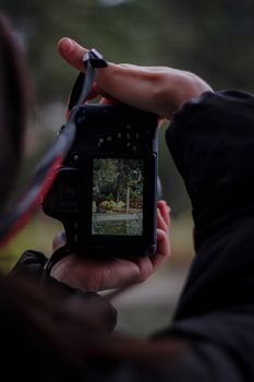 Close-up of a camera displaying a vibrant outdoor scene with hands holding it.