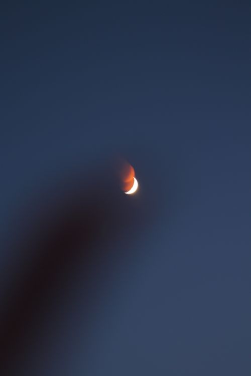 Lunar eclipse study by Gökhan Baytekin on Pexels