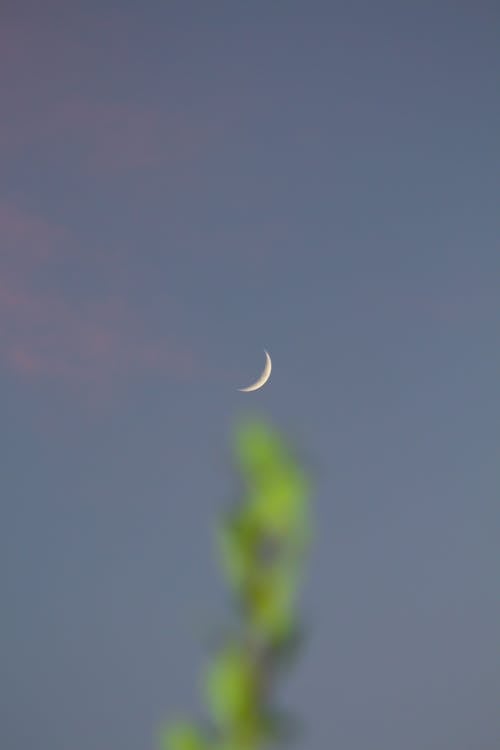 Crescent Moon in Sky