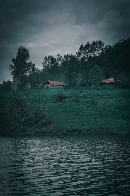 Free stock photo of clouds, forest, jungle