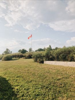A picturesque view of the Canadian flag in a sunny Toronto park. Ideal for patriotic themes.