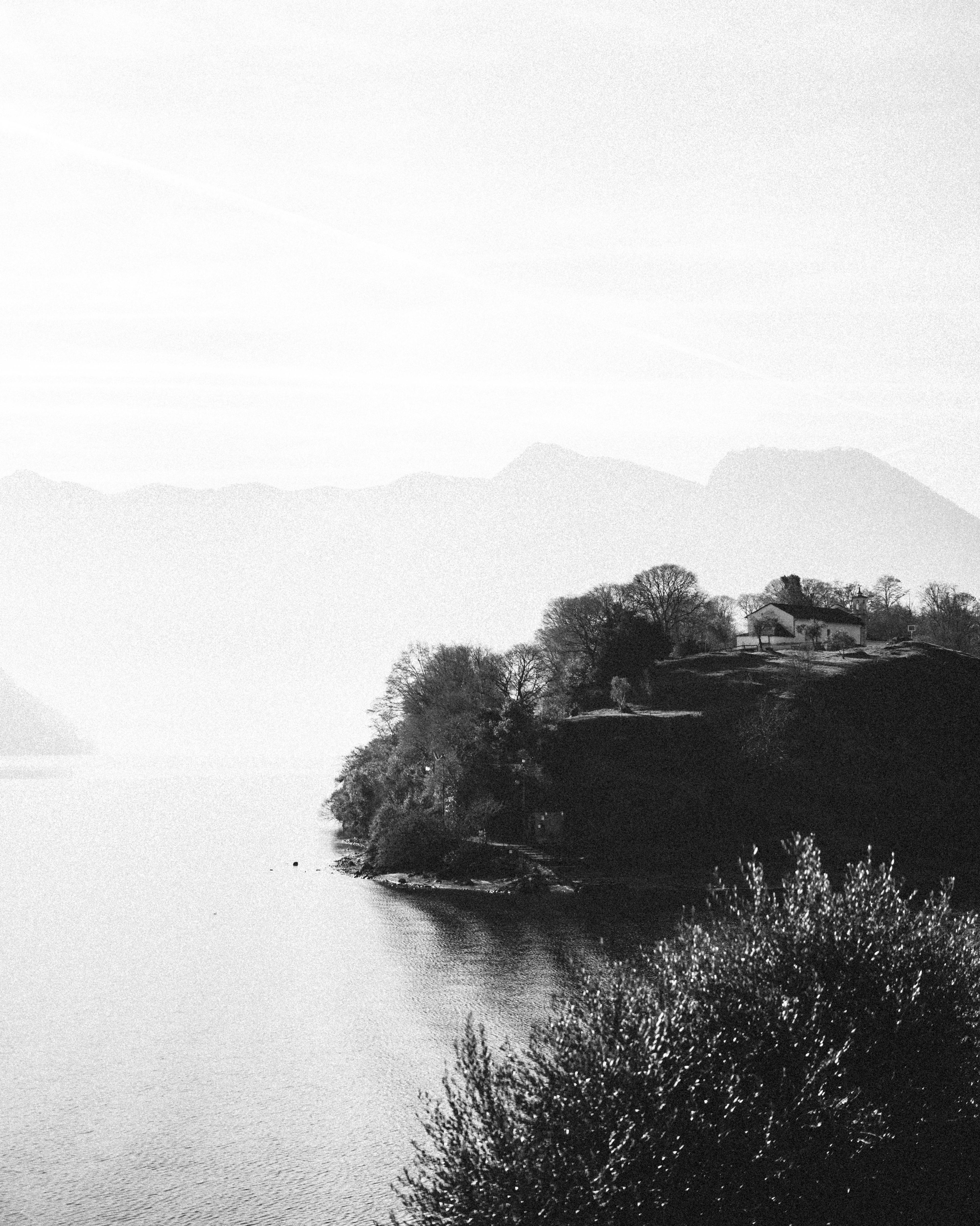Monochrome view of the coast with trees and sea under sunlight, creating a serene atmosphere.