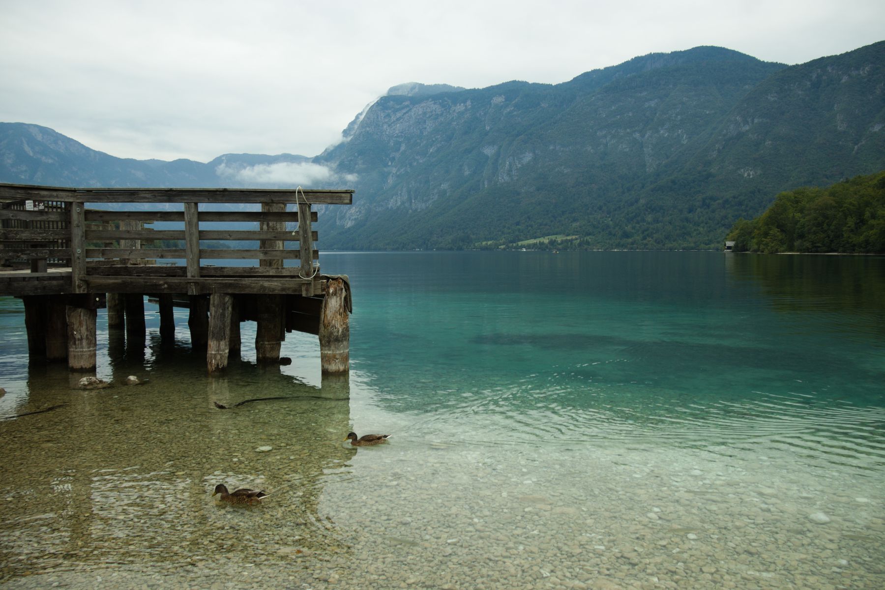 Wooden jetty on Lake Bohinj with mountains in the distance