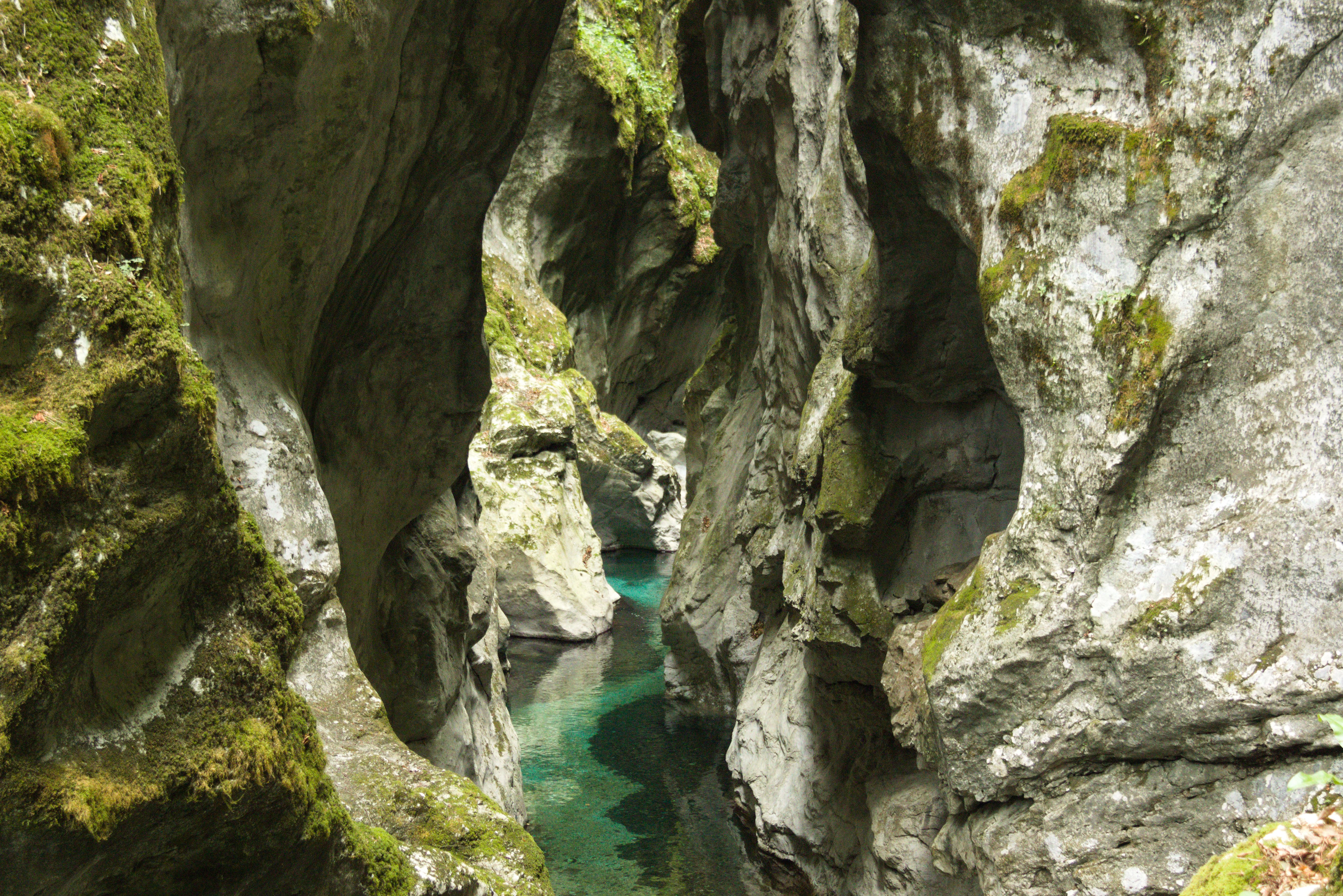 Discover the breathtaking Tolmin Gorge with its moss-covered cliffs and crystal-clear river in Slovenia.