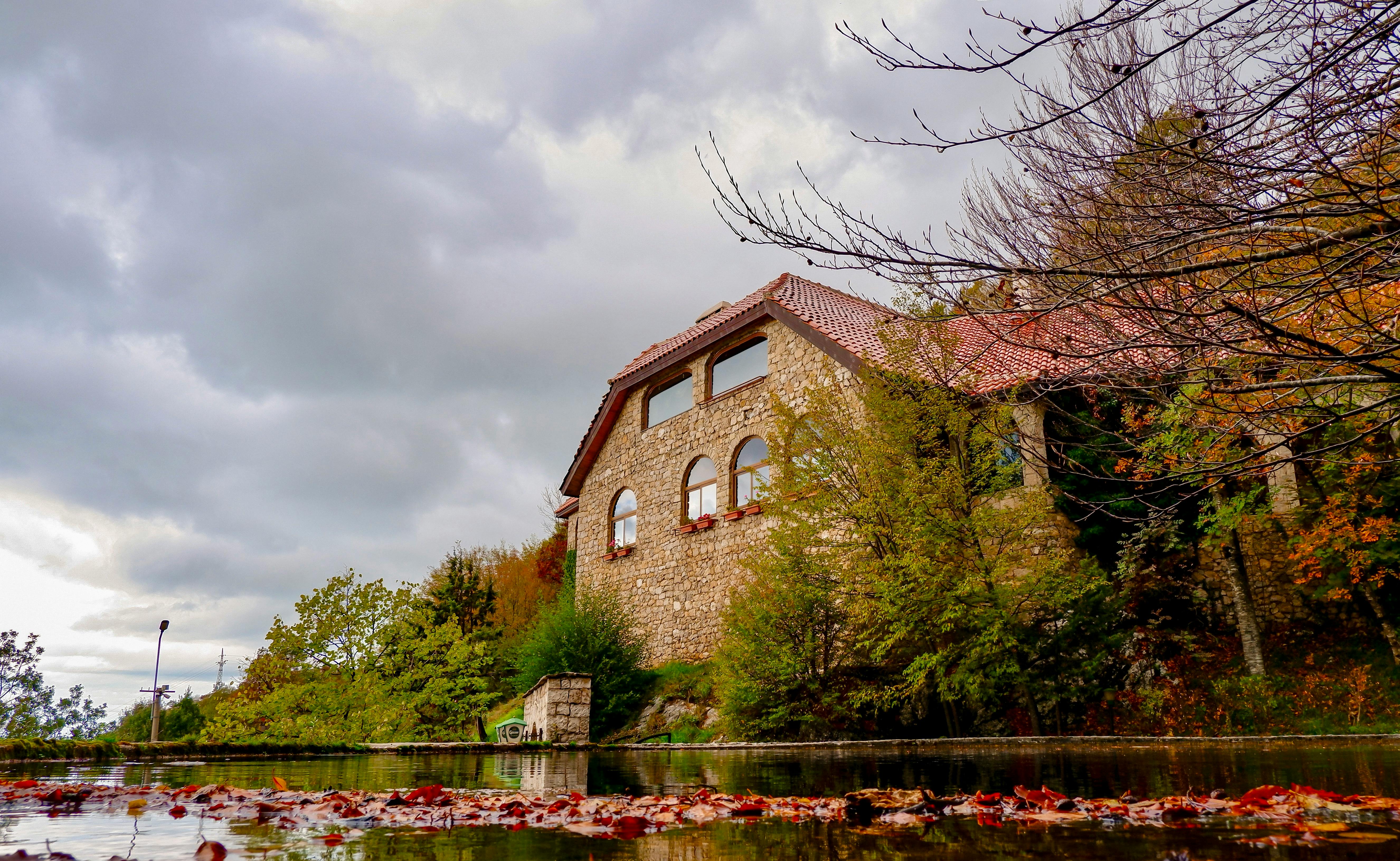 Trees Growing near Stone Building near Water · Free Stock Photo