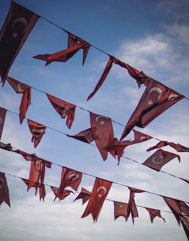 Turkish Flags On Lines