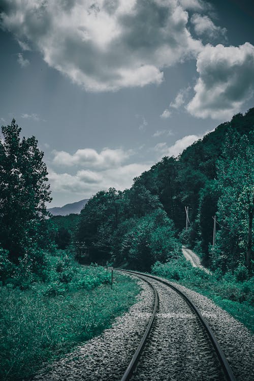 Ilmainen kuvapankkikuva tunnisteilla junanrata, luonto, metsä