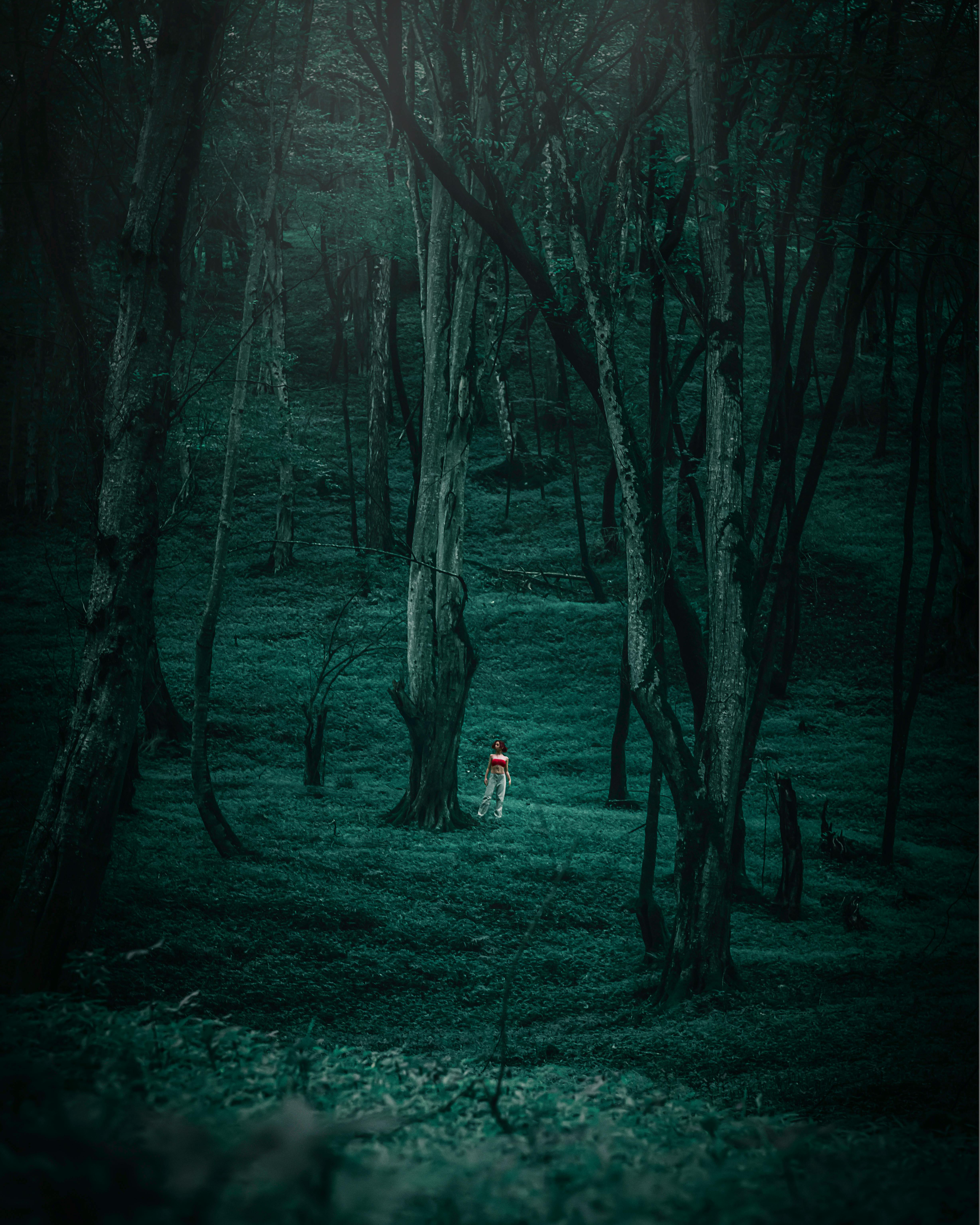 A mountain range covered in clouds