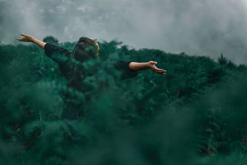 20 000  Best Free Photos · 100% Free Download · Pexels Stock Photos