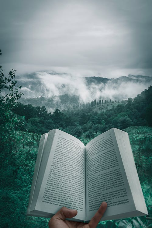 구름, 독서하는, 독서하다의 무료 스톡 사진