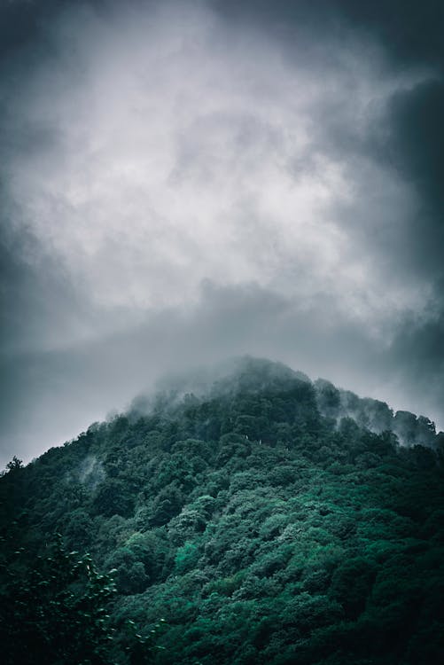 Darmowe zdjęcie z galerii z chmury, dżungla, góra