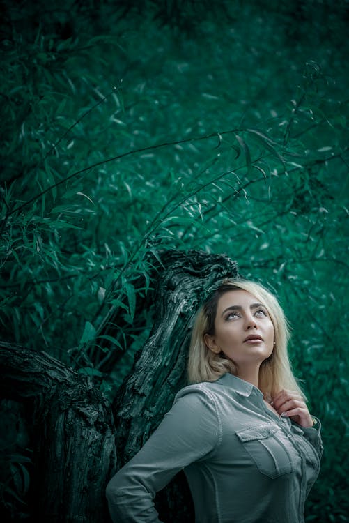 Free stock photo of clouds, forest, girl