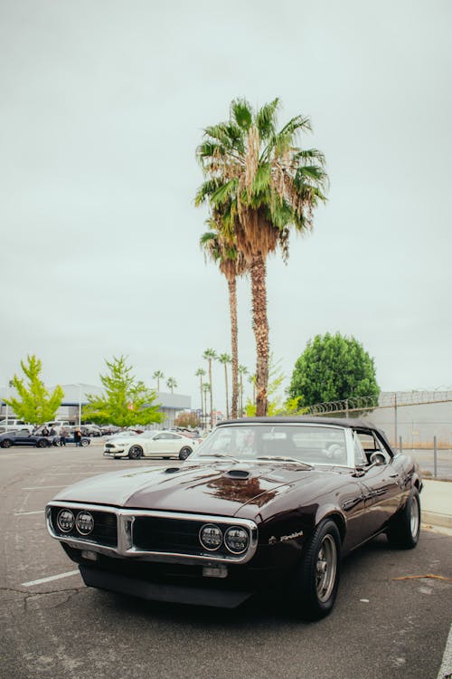 A Classic Pontiac Firebird on a Parking Lot 