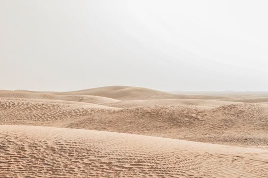 many color only in desert
