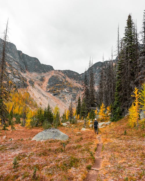 Hiker on Trail in Mountains in Autumn