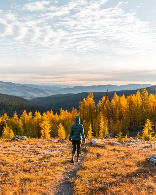 Person Walking towards Forest in Autumn