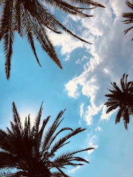 Palm trees silhouetted against a bright blue sky with clouds, captured in Jezerane, Croatia.