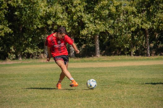 An athlete wearing red jersey playing soccer and kicking ball on green field with trees.
